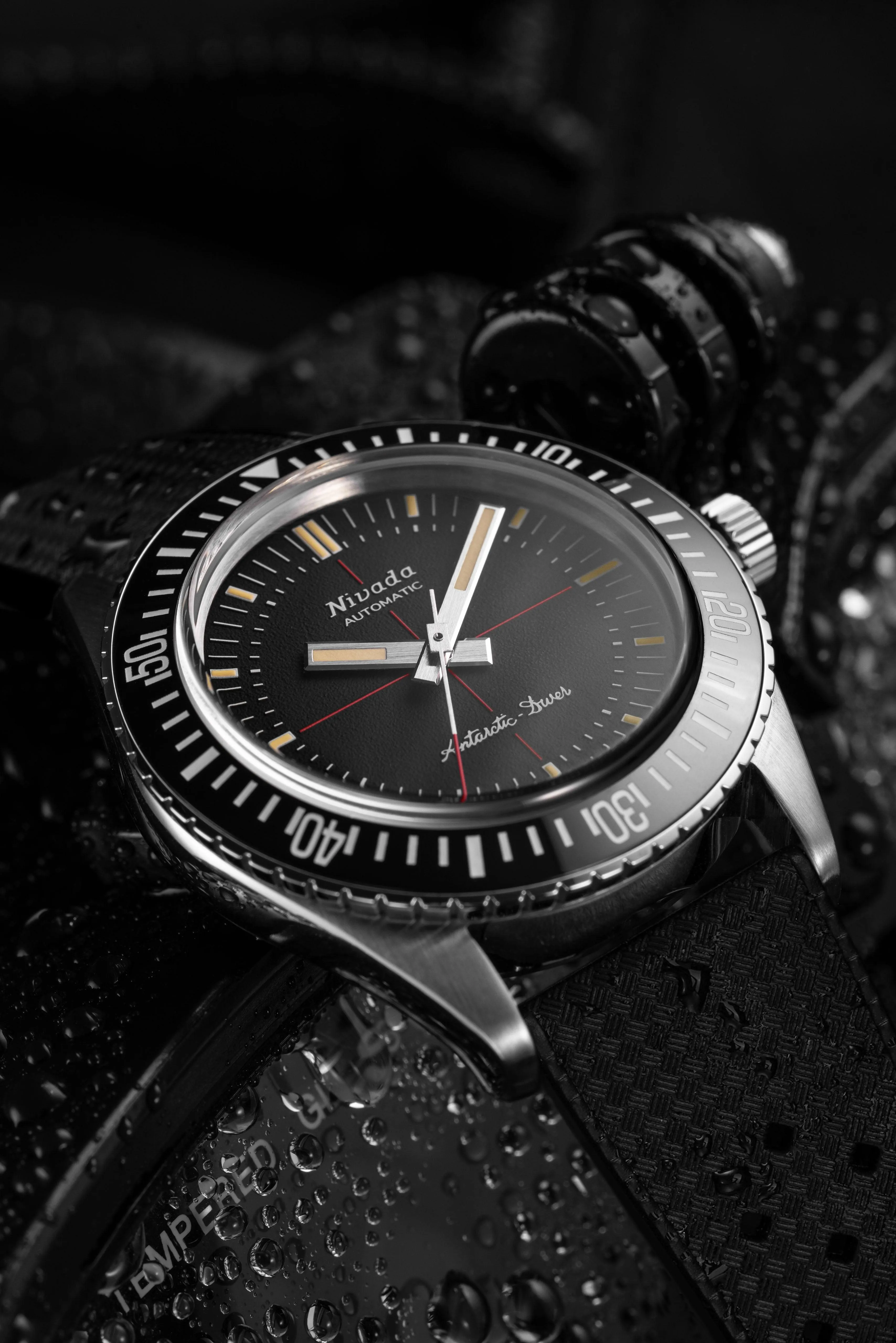 Antarctic Diver No Date