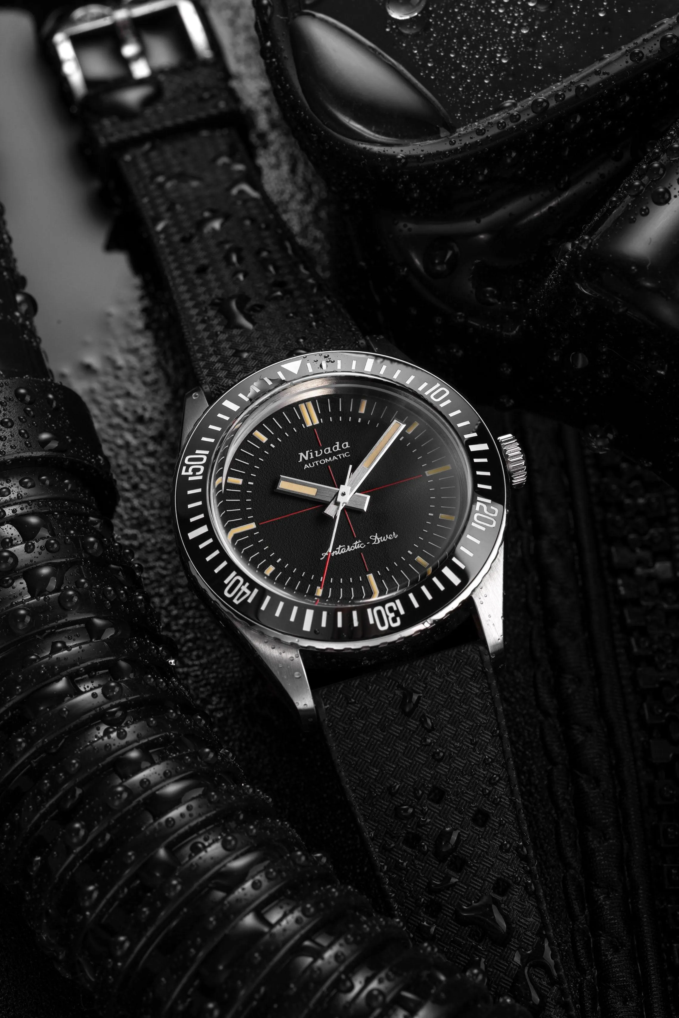 Antarctic Diver No Date