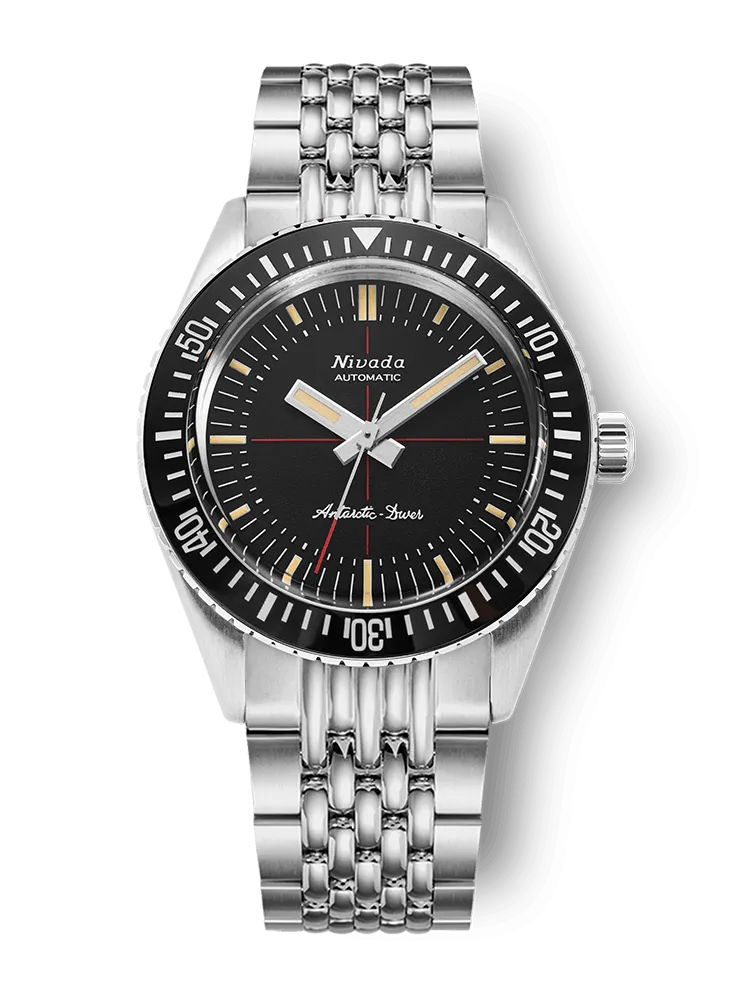 Antarctic Diver No Date