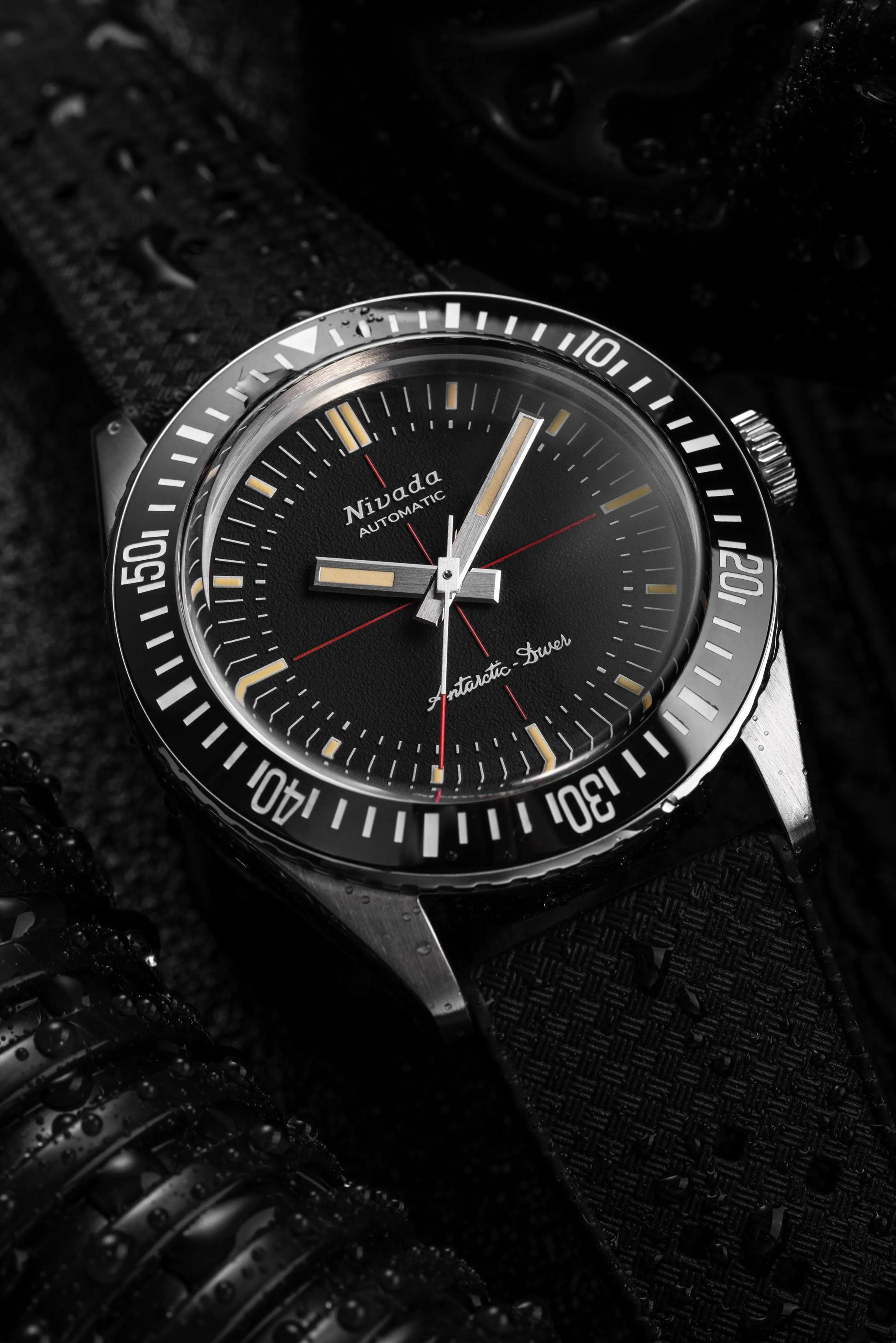 Antarctic Diver No Date