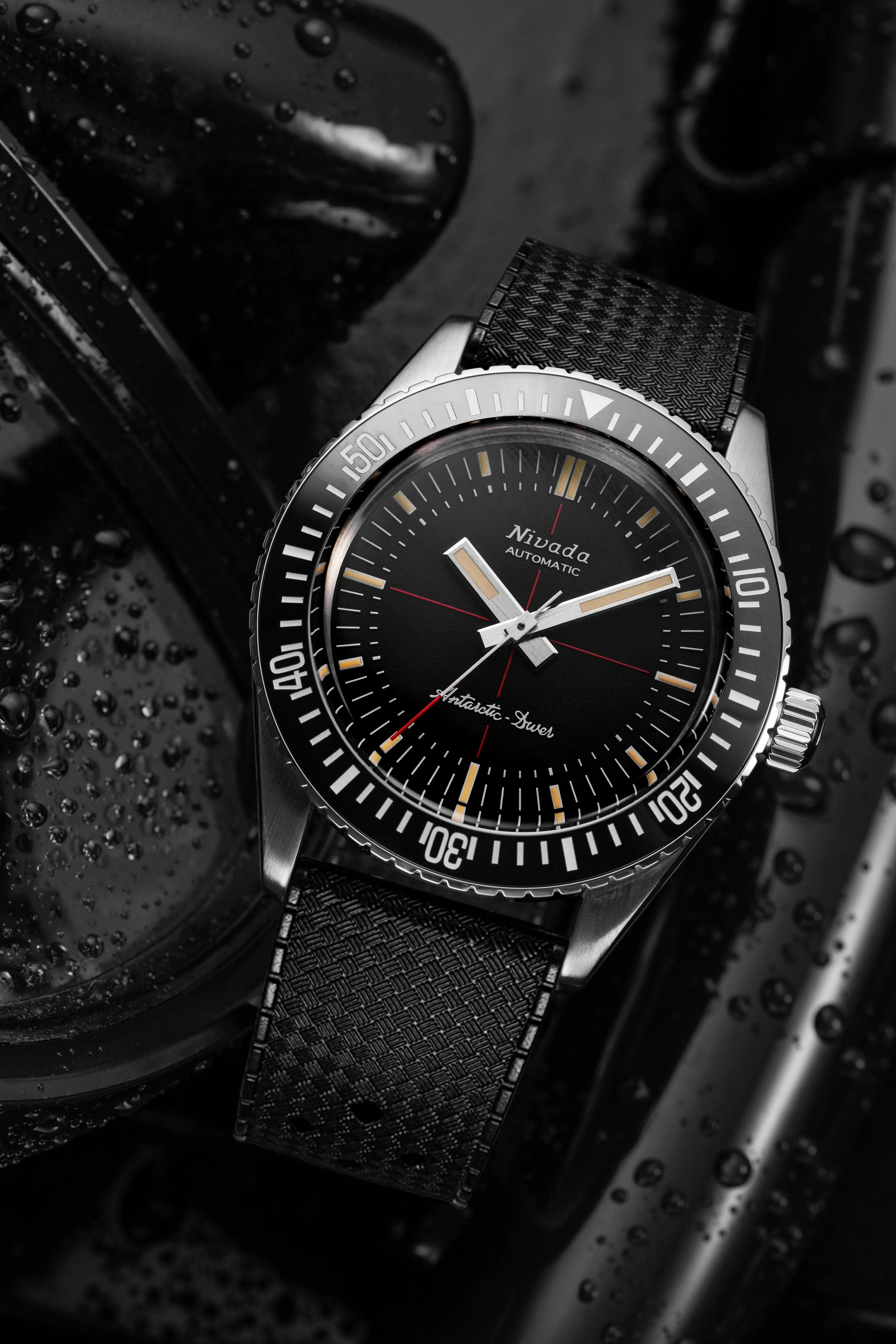 Antarctic Diver No Date