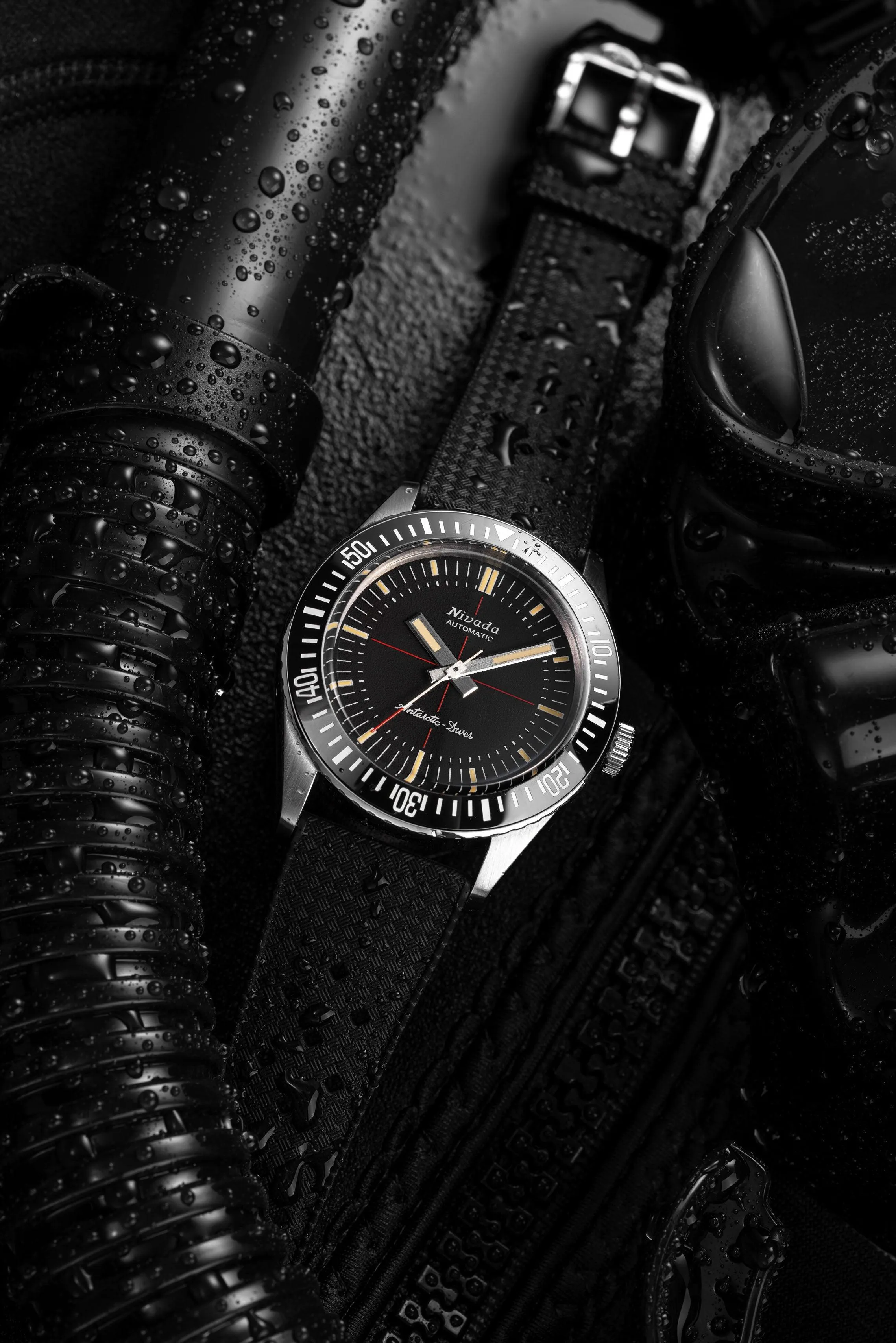 Antarctic Diver No Date