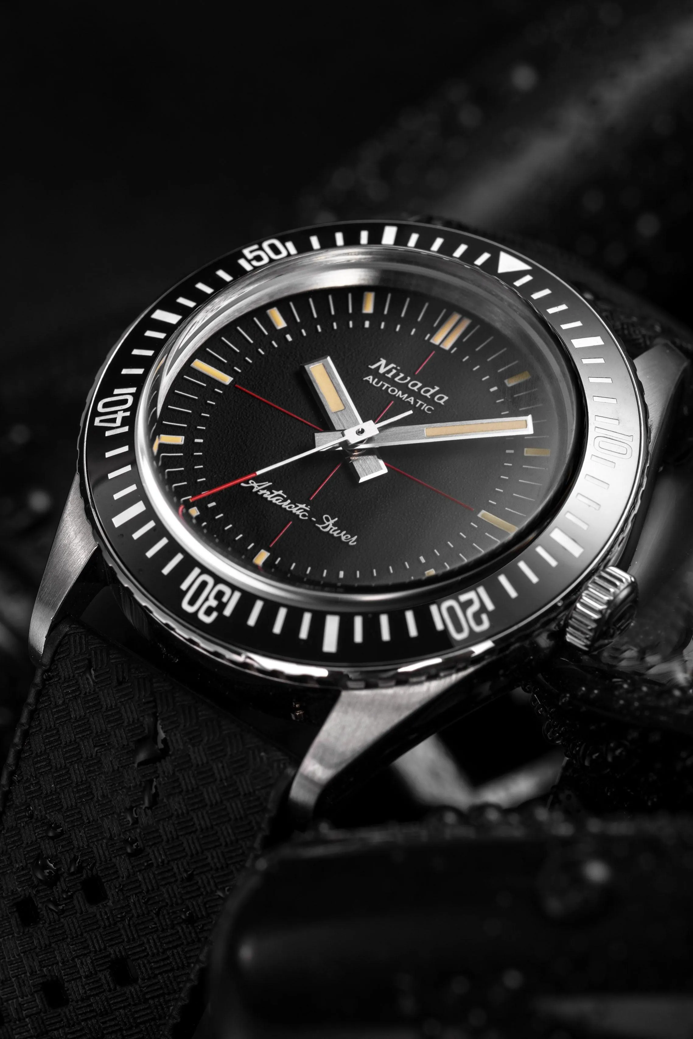 Antarctic Diver No Date