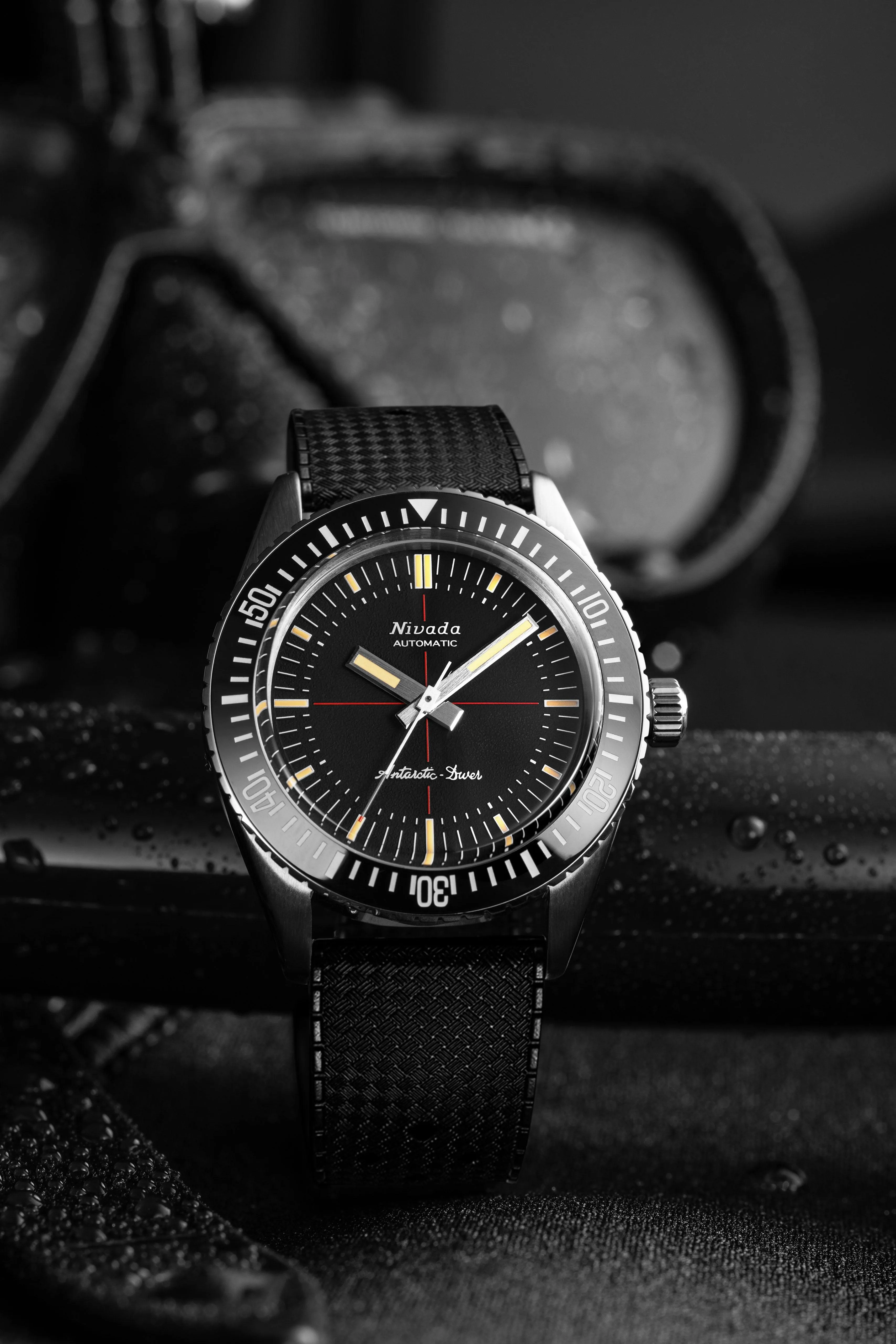 Antarctic Diver No Date
