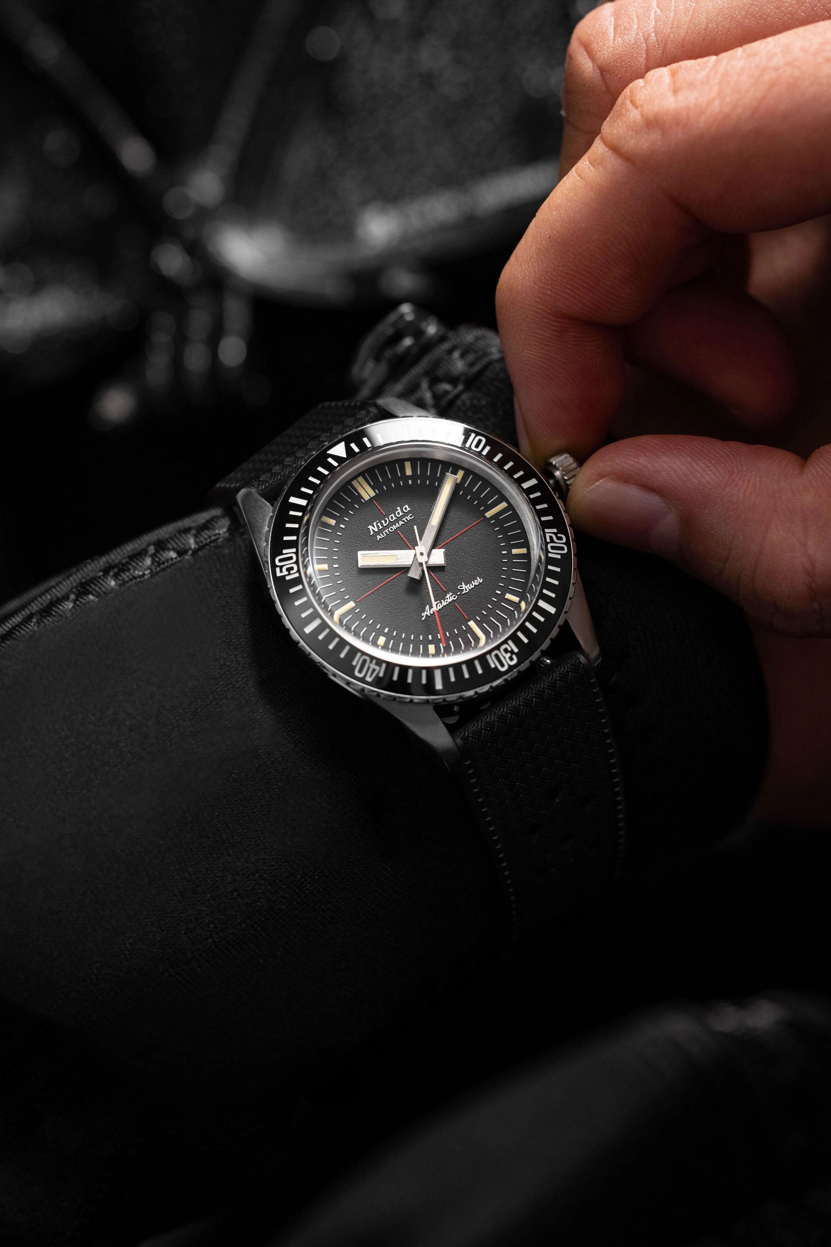Antarctic Diver No Date
