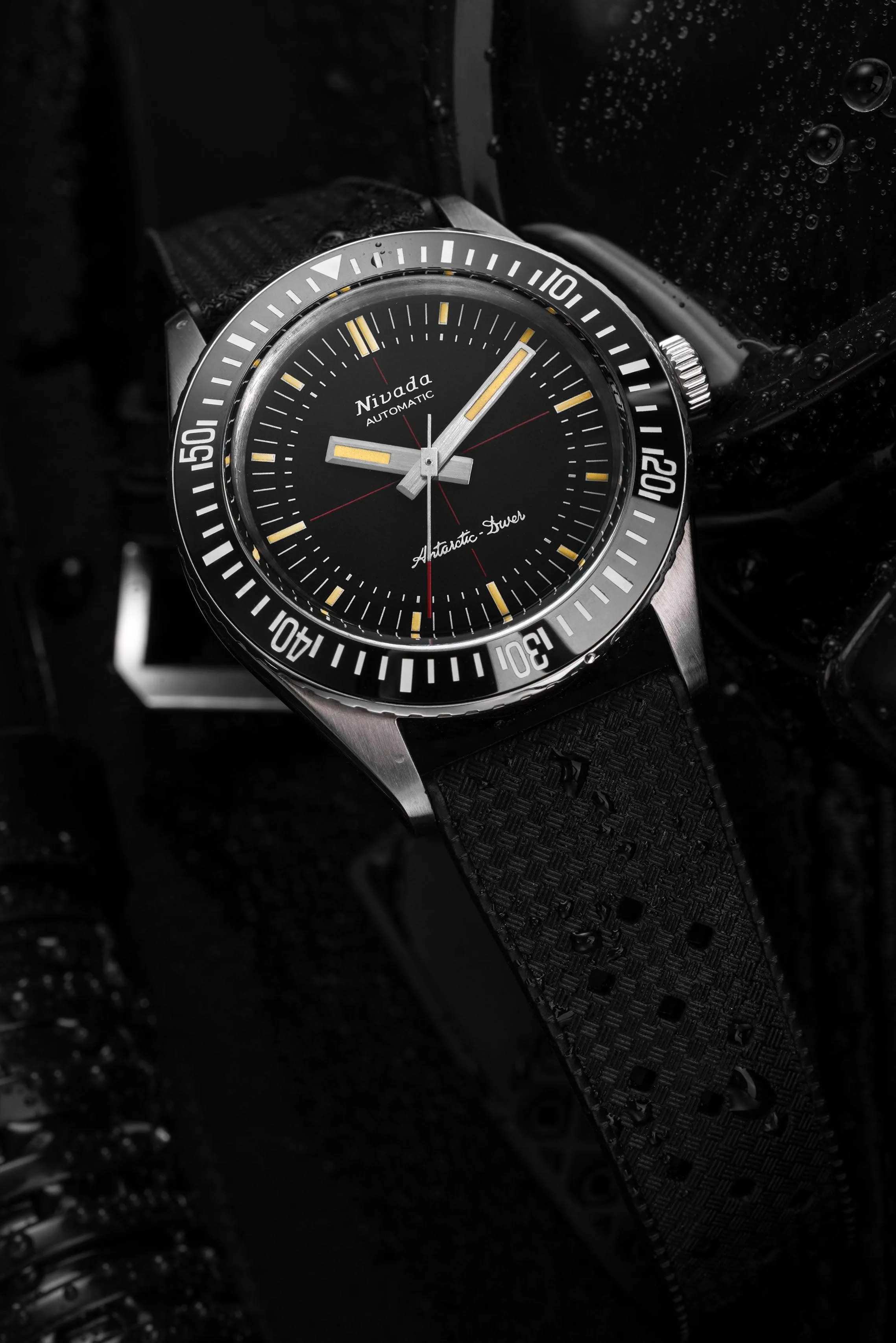 Antarctic Diver No Date