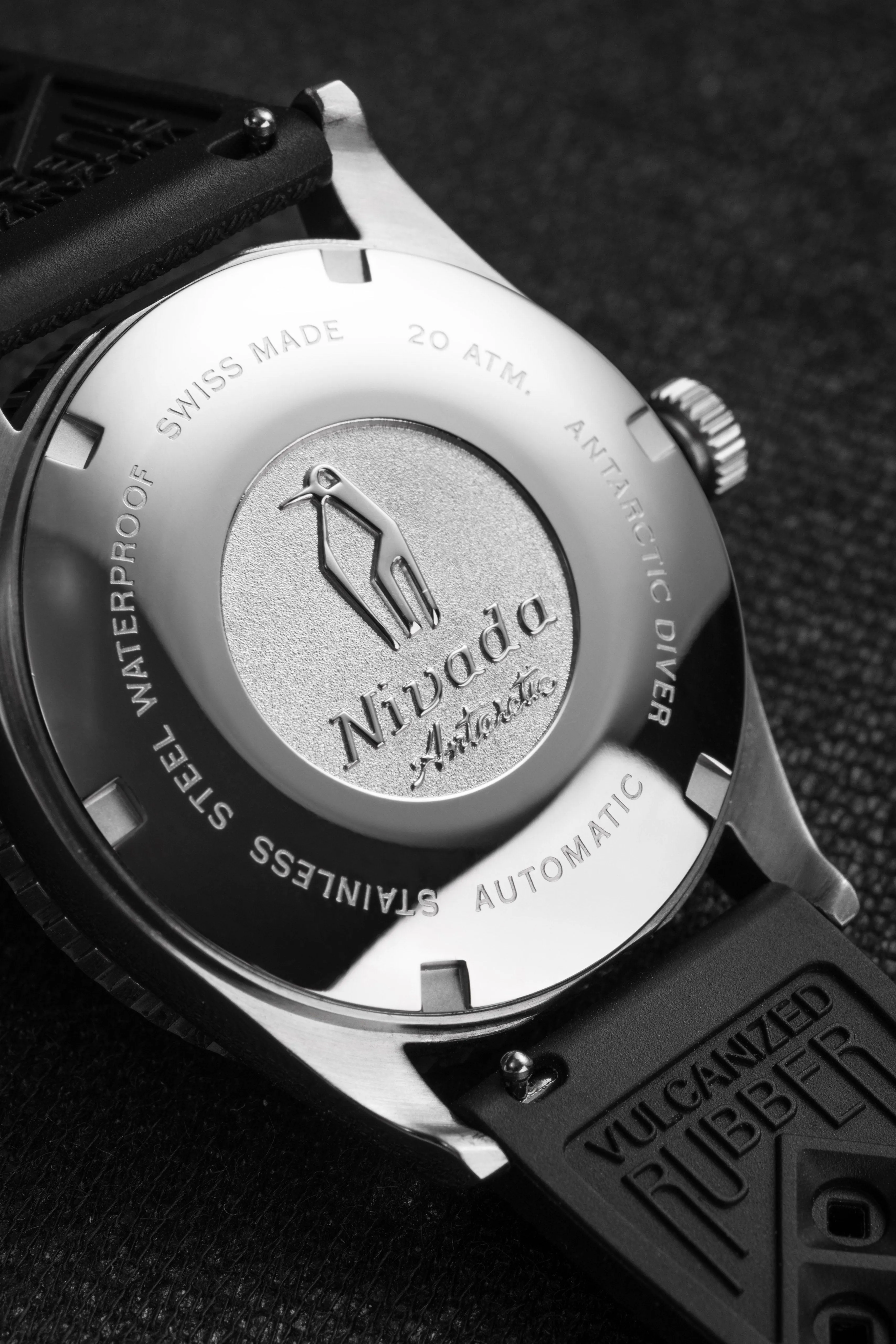 Antarctic Diver No Date