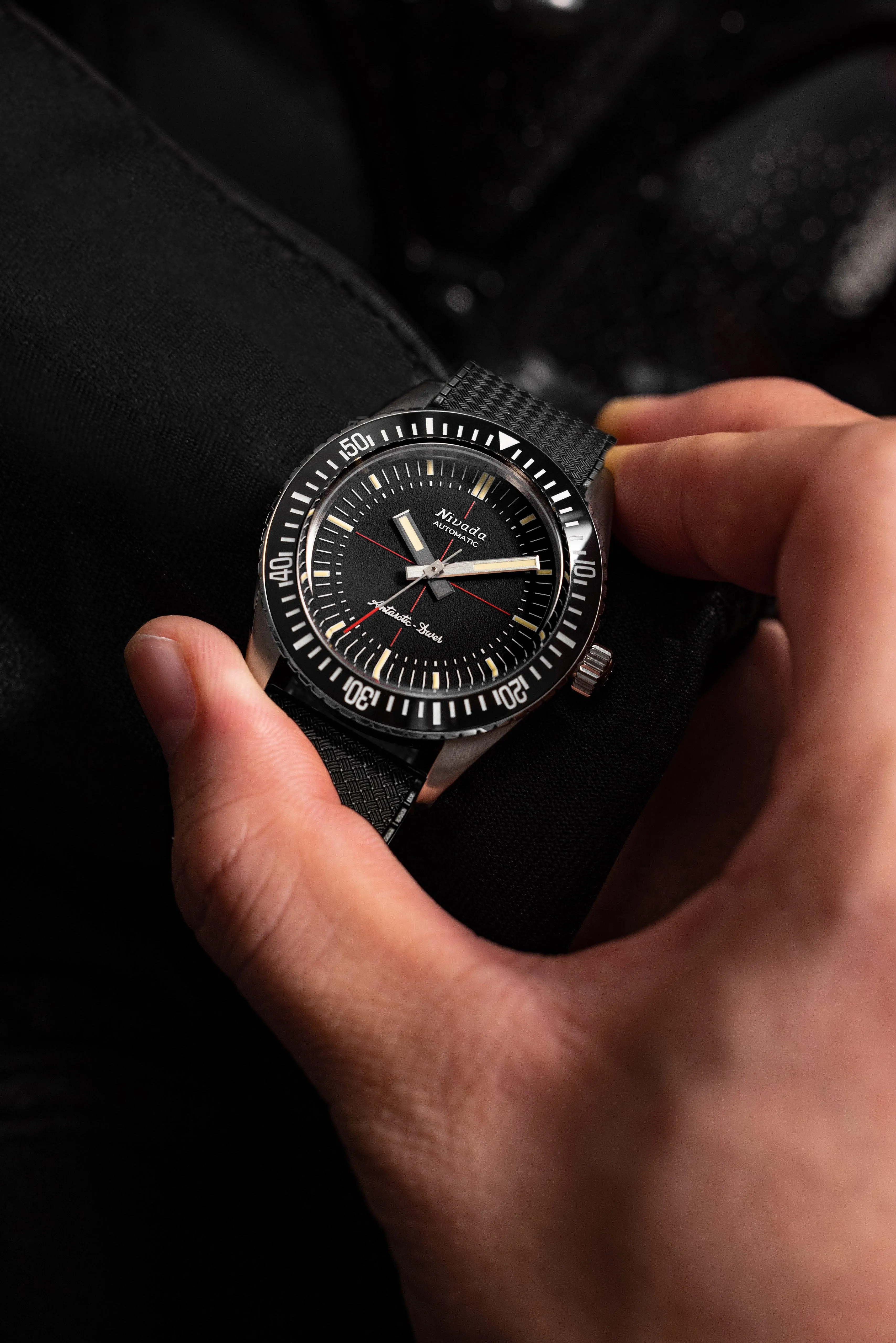 Antarctic Diver No Date