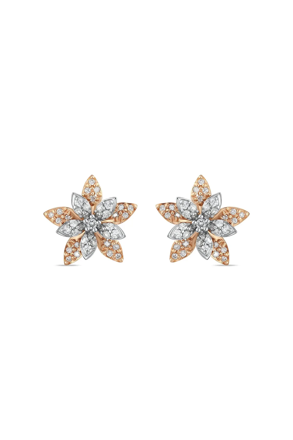BEE GODDESS | ROSE-WHITE GOLD APPLE SEED DIAMOND EARRINGS