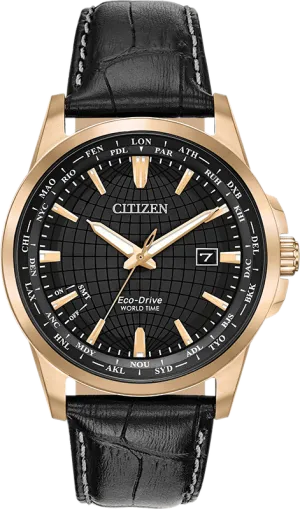 Citizen Eco Drive World Time Perpetual Calendar Men's Watch BX1003-08E