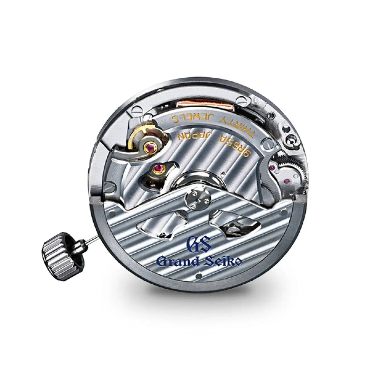 SPORT - LION'S MANE SBGA481