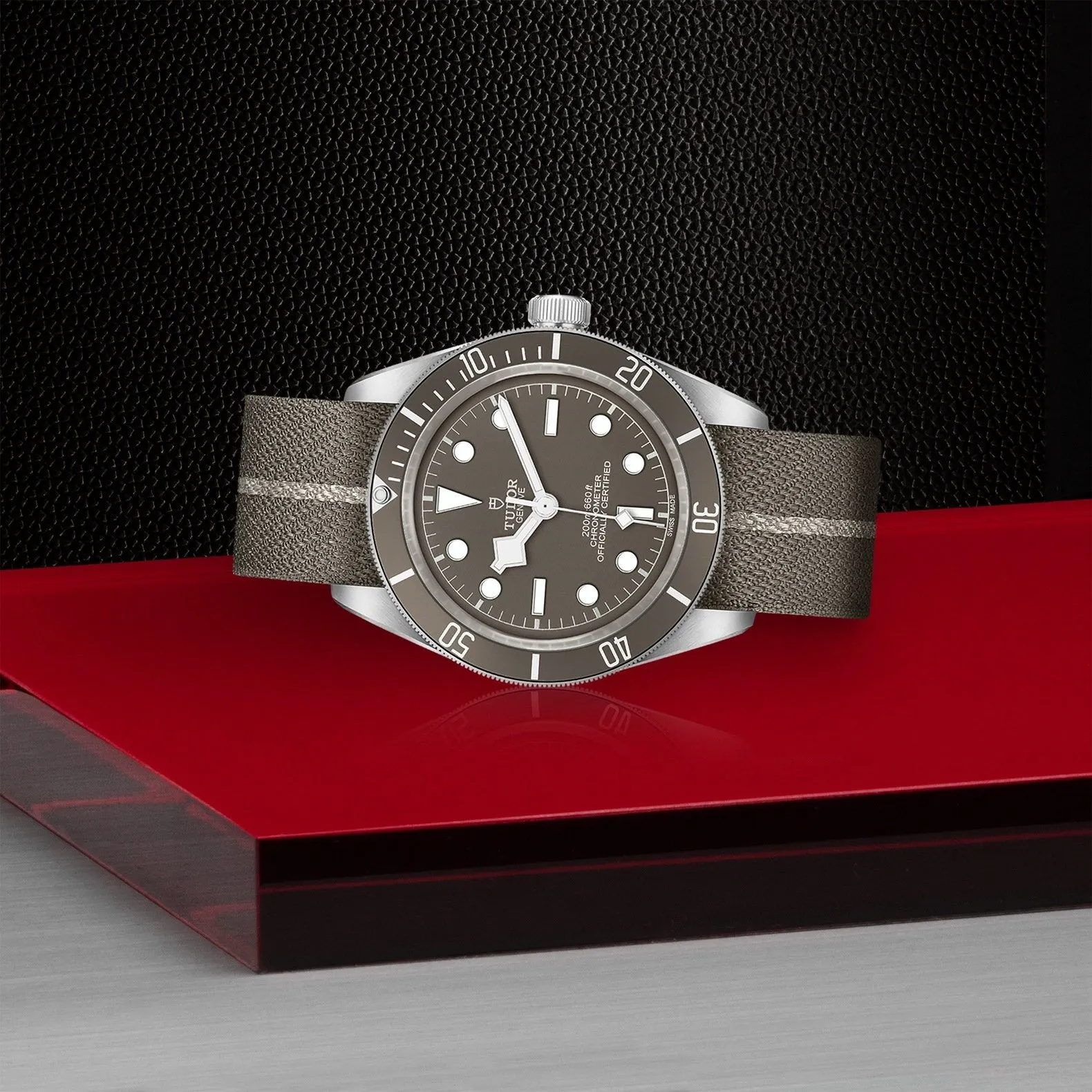 Tudor Black Bay 58 925