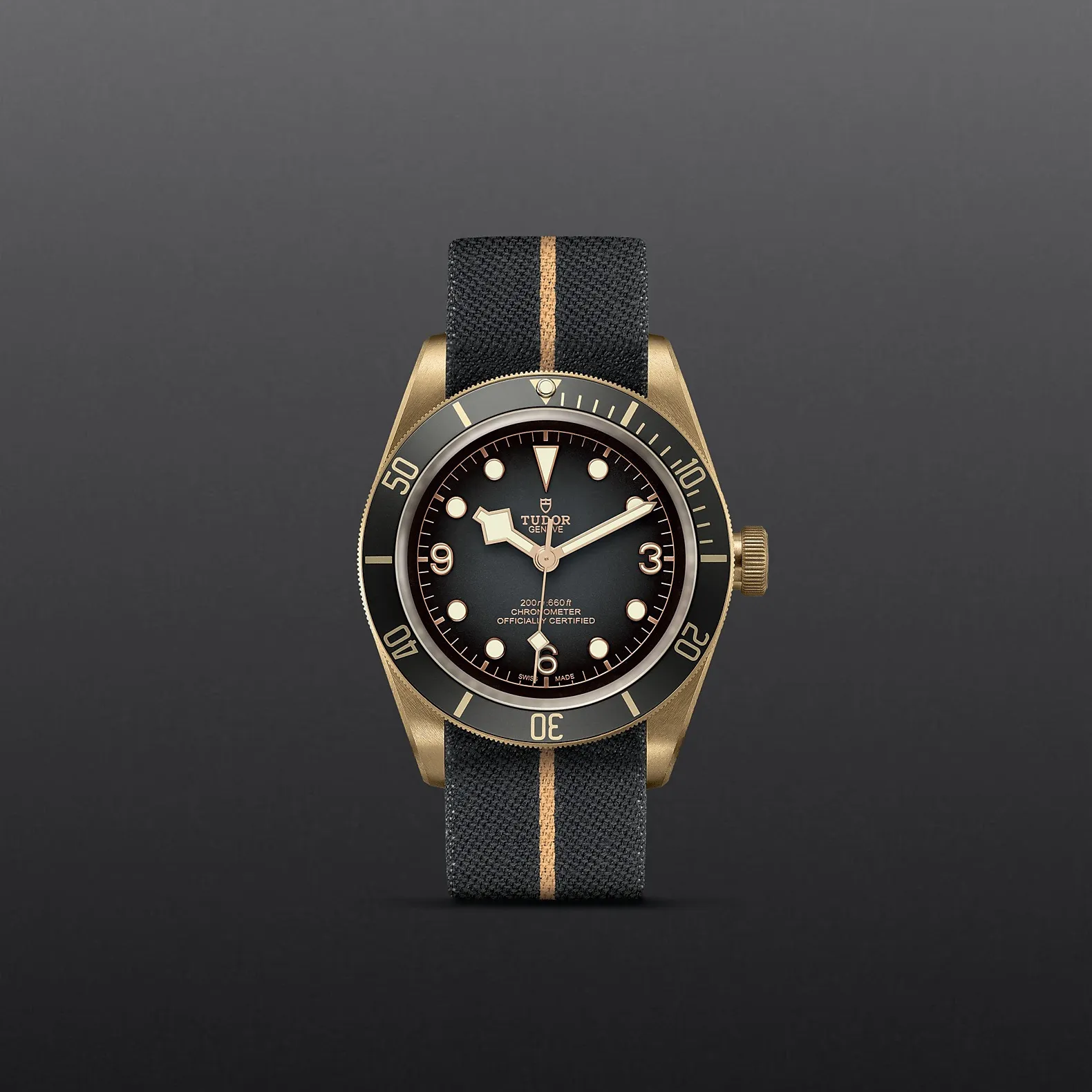 Tudor Black Bay Bronze