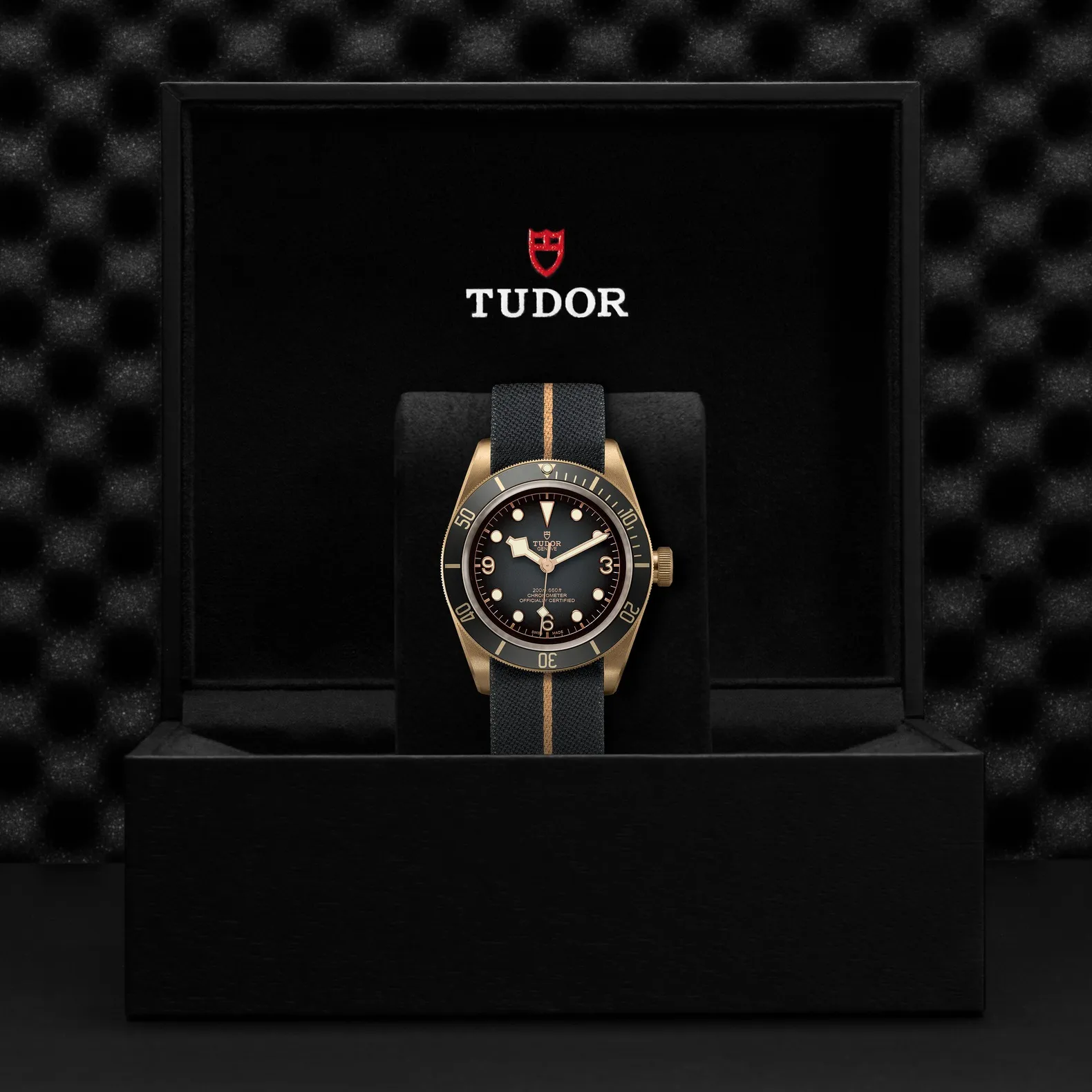Tudor Black Bay Bronze