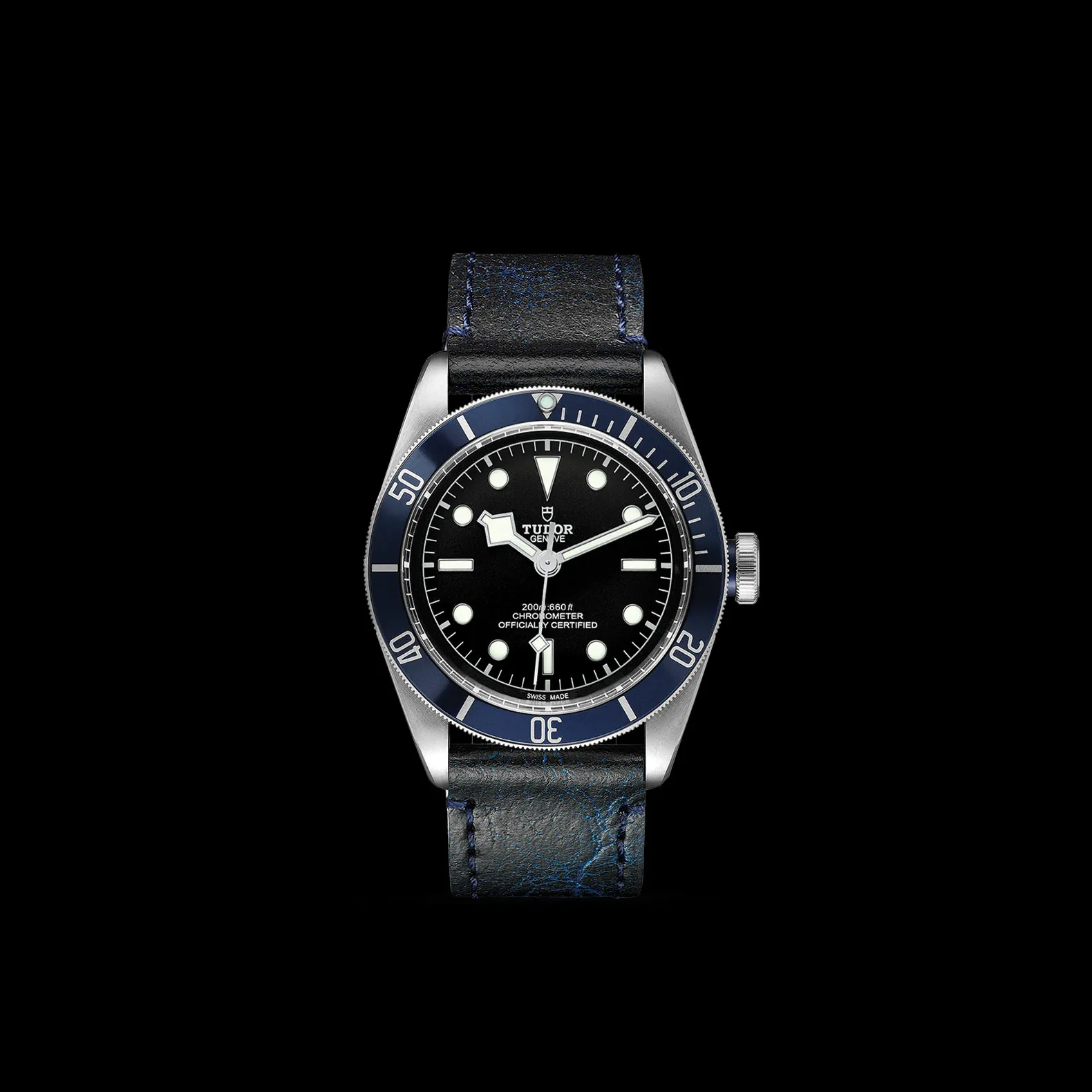 Tudor Black Bay