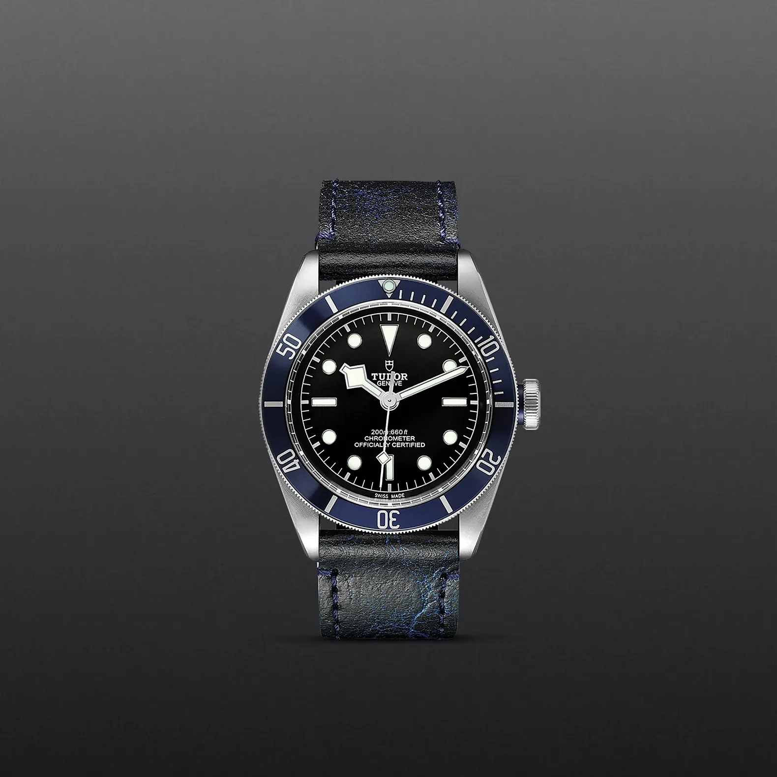 Tudor Black Bay