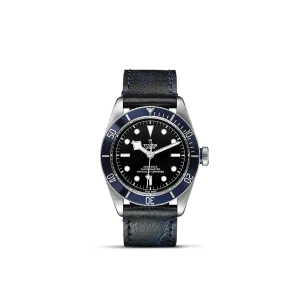 Tudor Black Bay